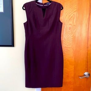 The Limited Dress